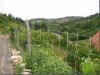 foto13a.JPG (105352 Byte)